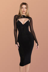Vanessa Mesh Sleeves Bodycon Dress