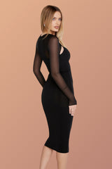 Vanessa Mesh Sleeves Bodycon Dress